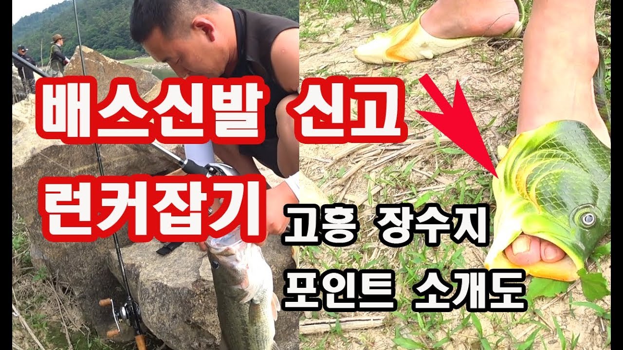 배스를 밟고 다니며 런커 잡는 앵글러 ~