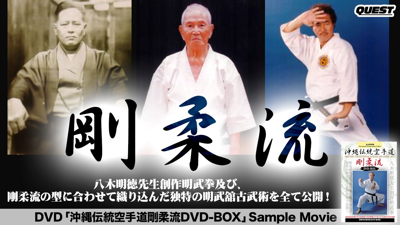沖縄伝統空手道剛柔流　DVD-BOX