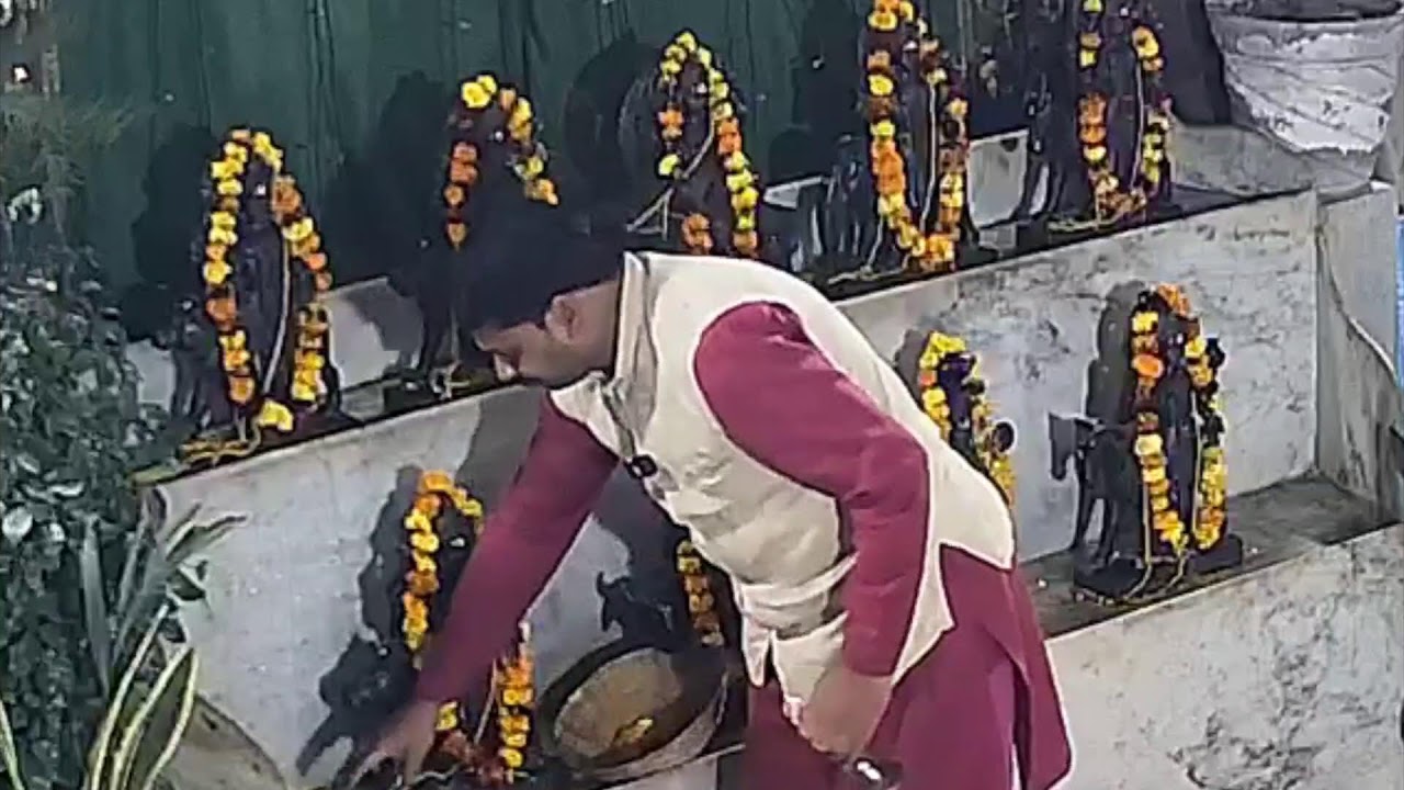 Venkatesh Balaji Padmavati Devi and Mangal Ketu Puja ( Common)