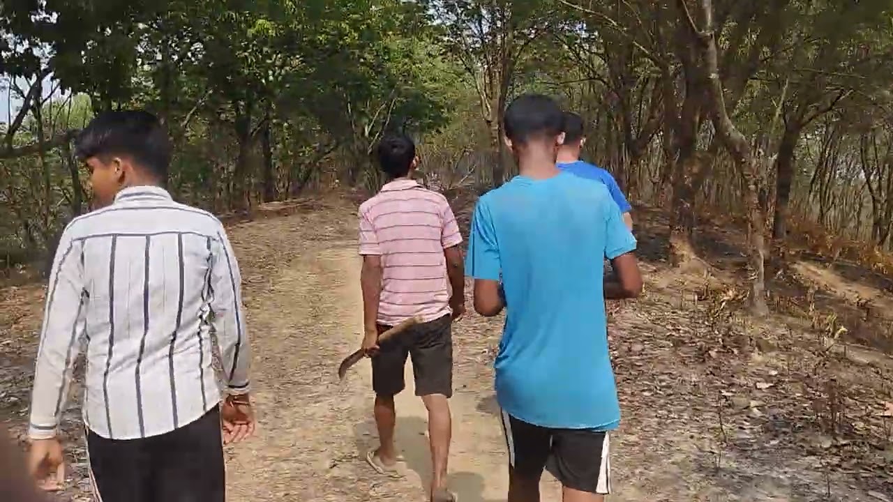 Aj ham loge jangel giye they  #viral #reels #viralvideo #ekmotahathighumechala 