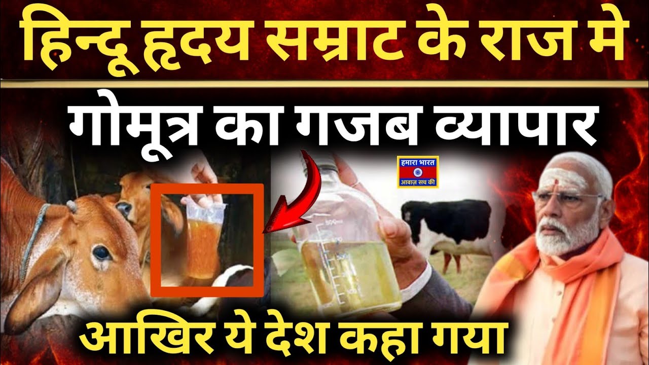 Cow Urine Scam Exposed | ₹3.5 Crore Research Fraud under BJP Rule | Cow Urine Scam Explained