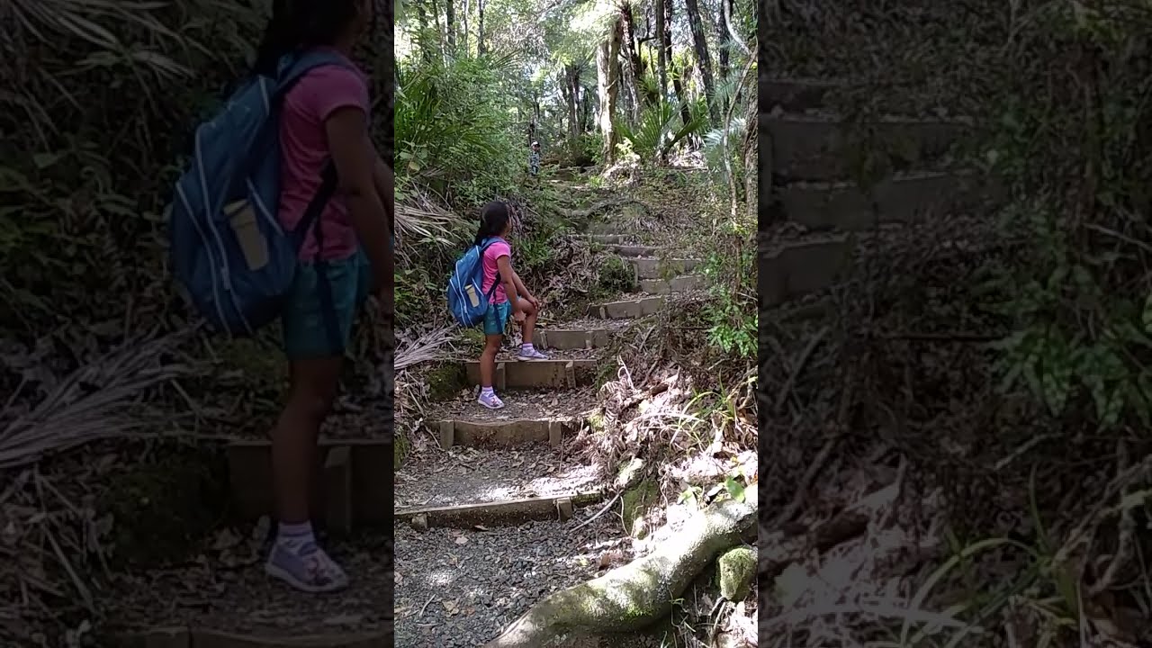 Diva & Kian exploring forest walkway in Dome Valley, New Zealand