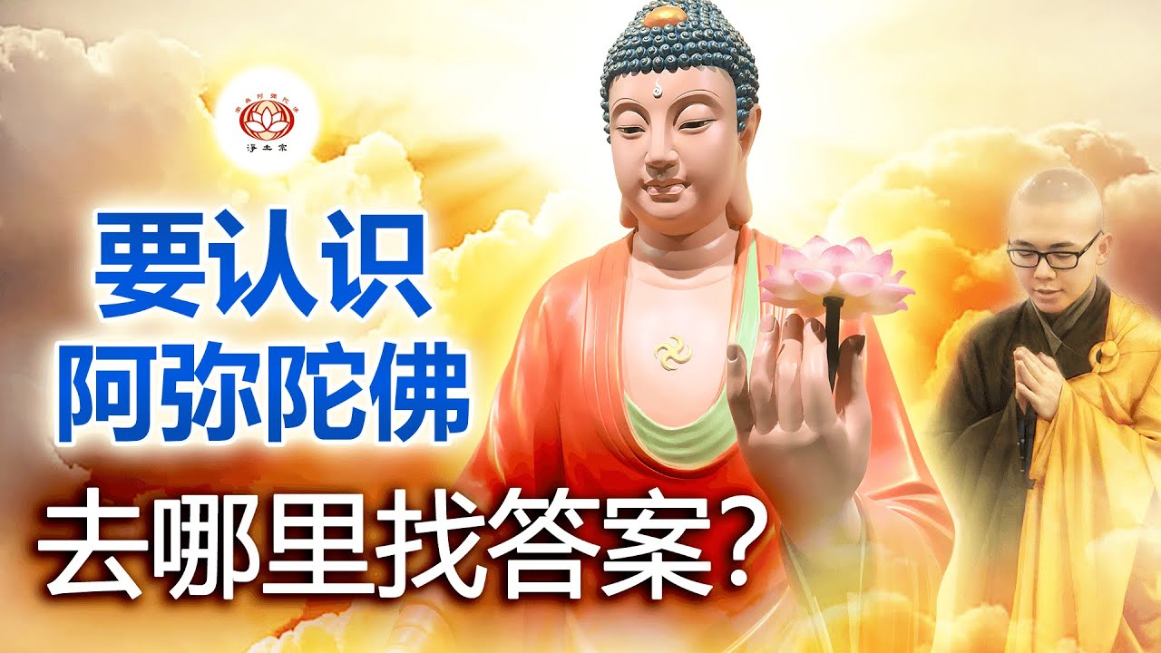 要认识阿弥陀佛，去哪里找答案？ 👼 | 净本法师 主讲