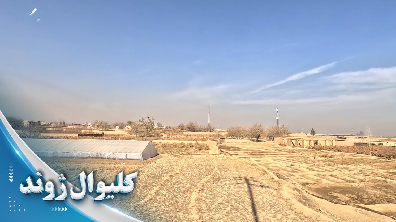 کلیوال ژوند - د کابل شکردره کې د سیدانو کلی؛ ژوند او دودونه