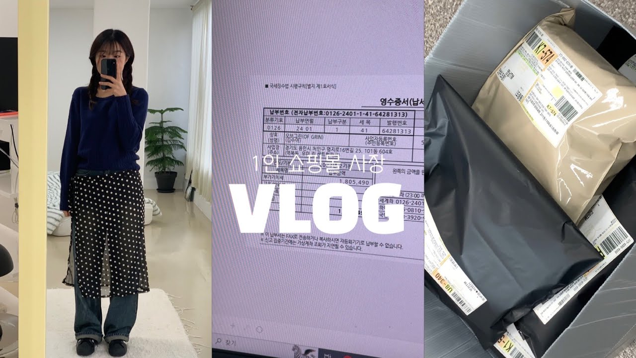 [1인 쇼핑몰 사장 VLOG] 세금만 180만원 낸 8개월차 초보사장 .. 브이로그/쇼핑몰 포장 브이로그📦/설날맞이 세일/대학생 창업/에이블리, 지그재그, 스마트스토어