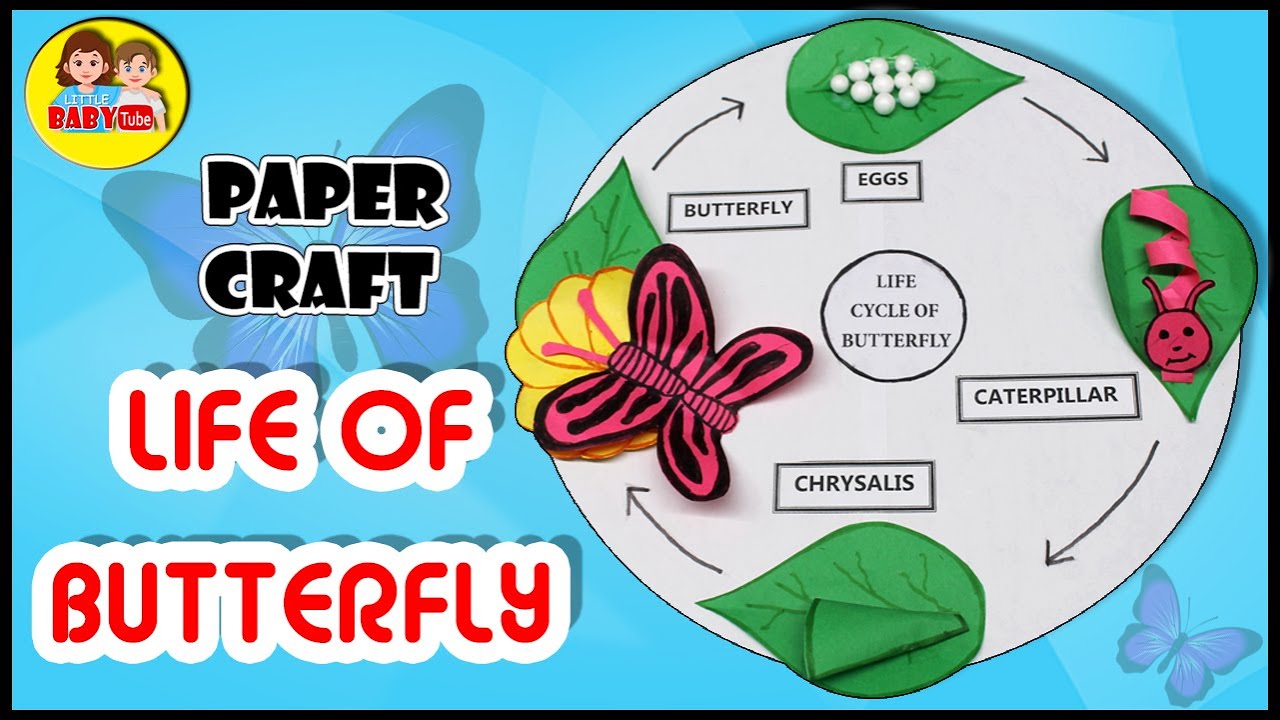 How to make 3D Butterfly life cycle for kids - Butterfly Life Cycle Paper Plate