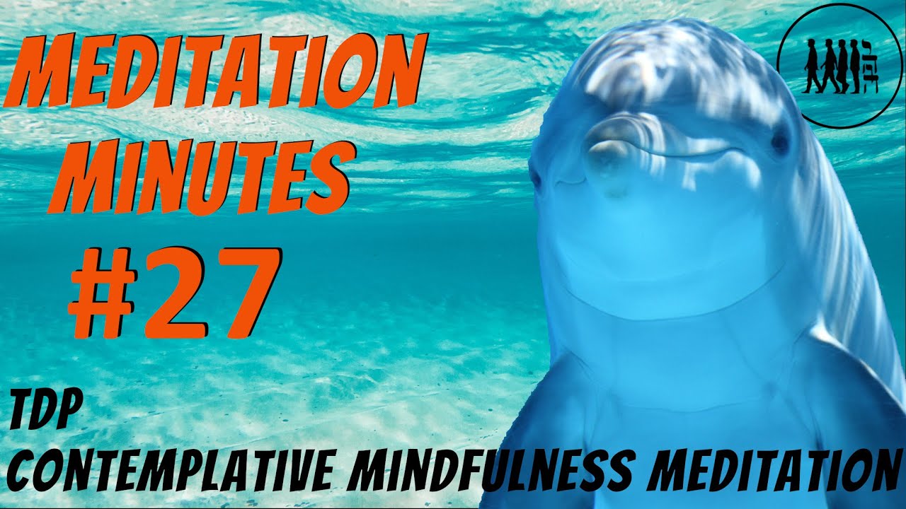 🧘 Mindfulness Meditation Minutes #27 🙏 I Alone Am - The Direct Path to Self