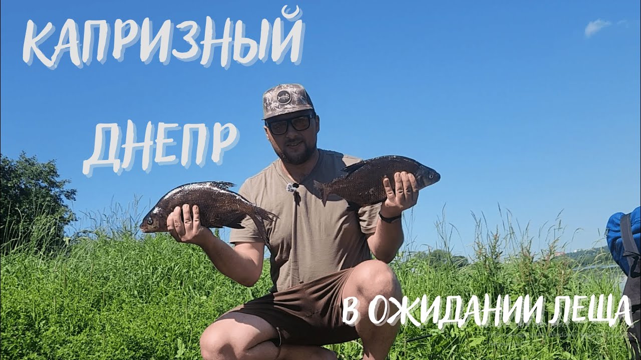 Фидер на реке. Рыбалка на Днепре летом.