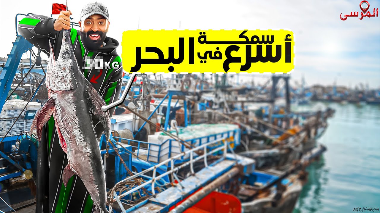 جولة في سوق شعبي للاسماك في المغرب 🇲🇦 مأكولات الشارع #streetfood