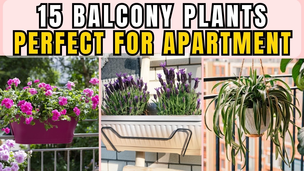 15 Balcony Plants Perfect for Small Urban Apartments (Easy & Space-Saving Ideas)