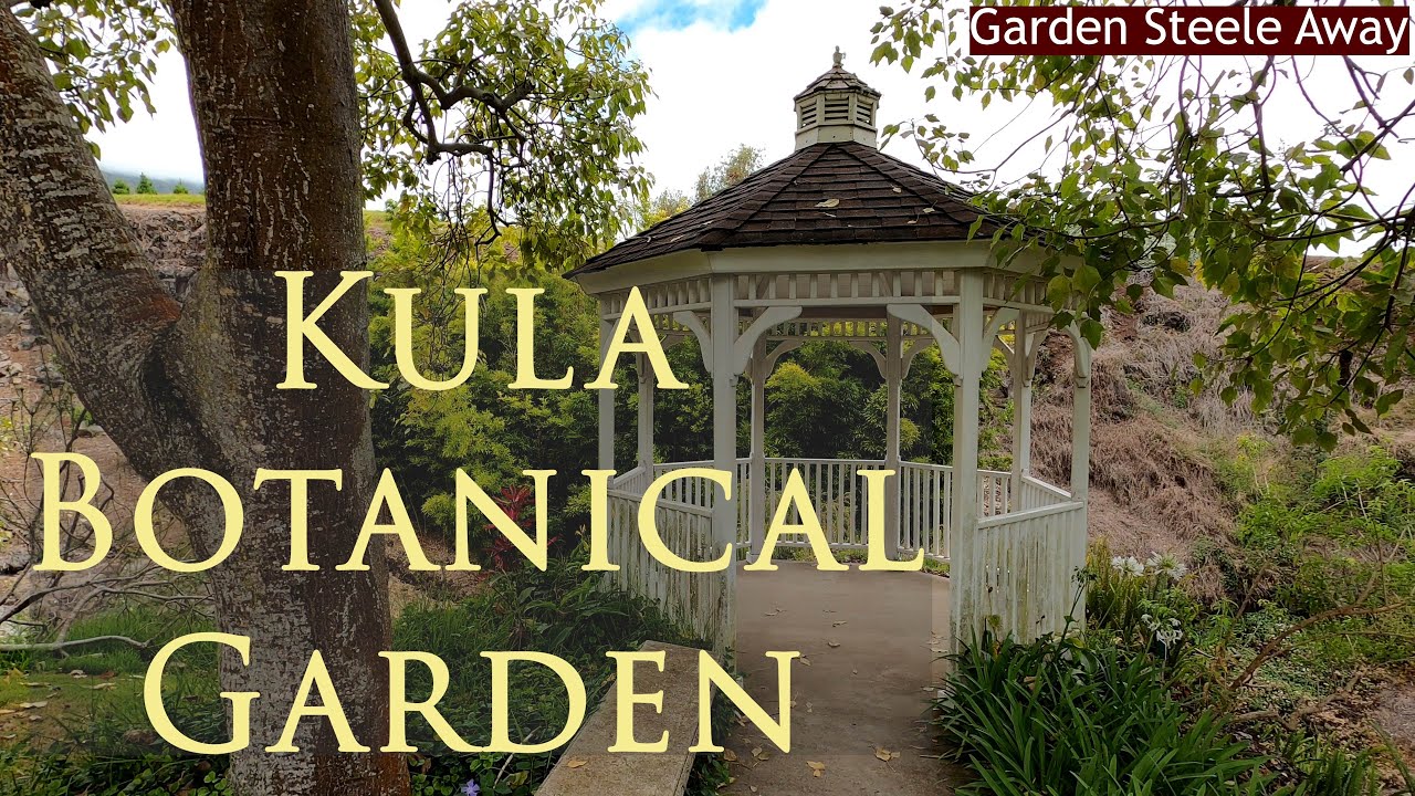#hawaii #garden Something to do and see on Maui Hawaii - besides going to the beach