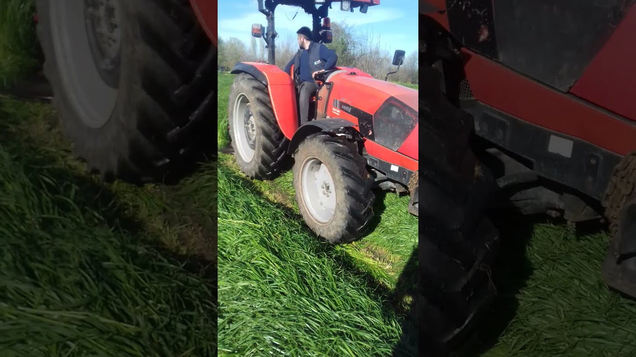 REYGRASS Bİ&Ccedil;İMİ
