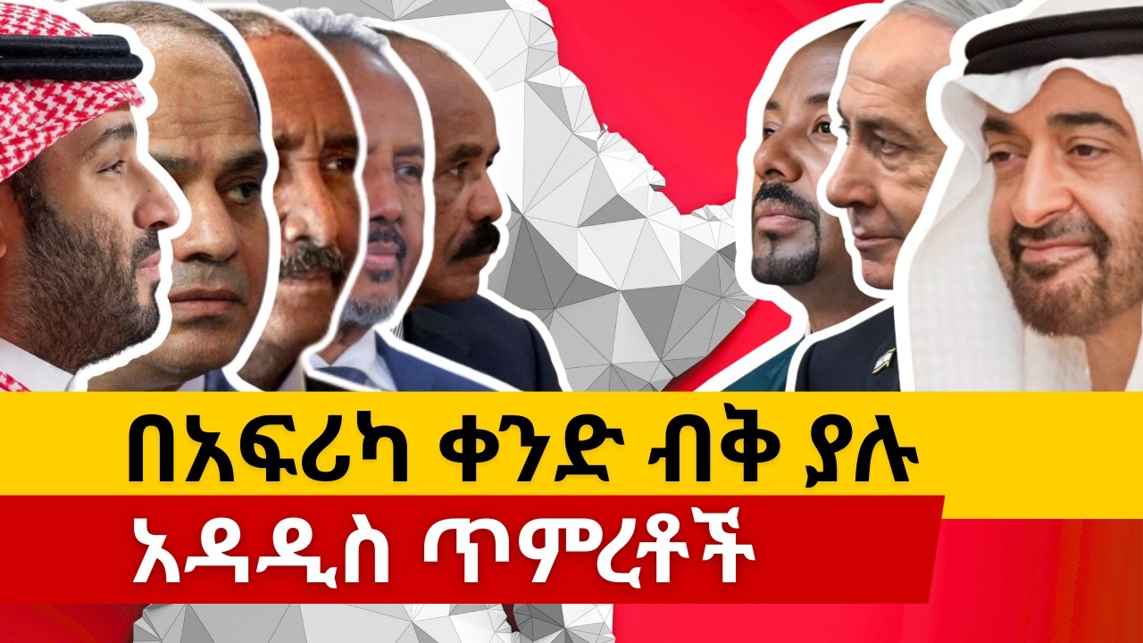 በአፍሪካ ቀንድ ብቅ ያሉ አዳዲስ ጥምረቶች፦ በሳዑዲ የሚመራው ስብስብ የኤምሬትስ-ኢትዮጵያ ጎራን እየተገዳደረ ነው