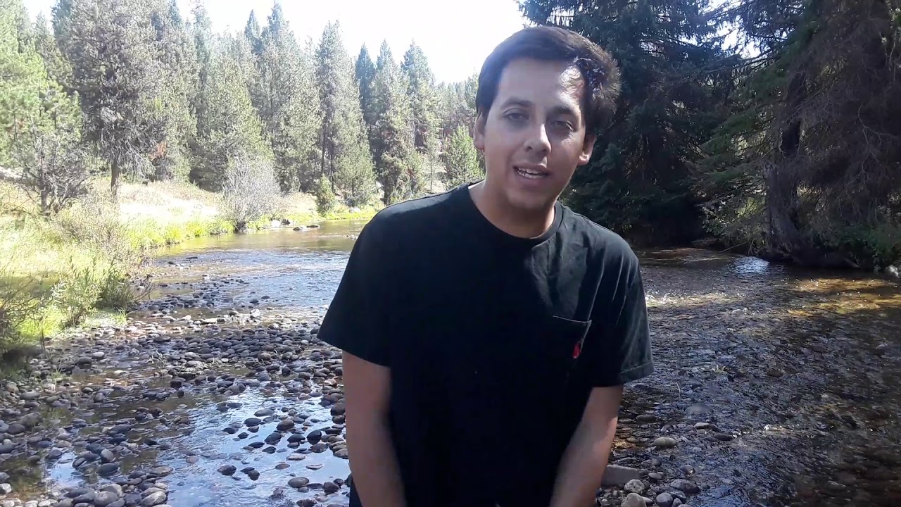 Roddy - In the Woods (Freestyle)