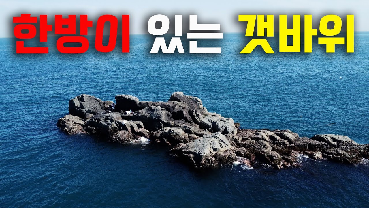 갯바위에서 먹고 자고 낚시도🎣 하고 일출 일몰 다 보고 왔습니다  [골병낚시]