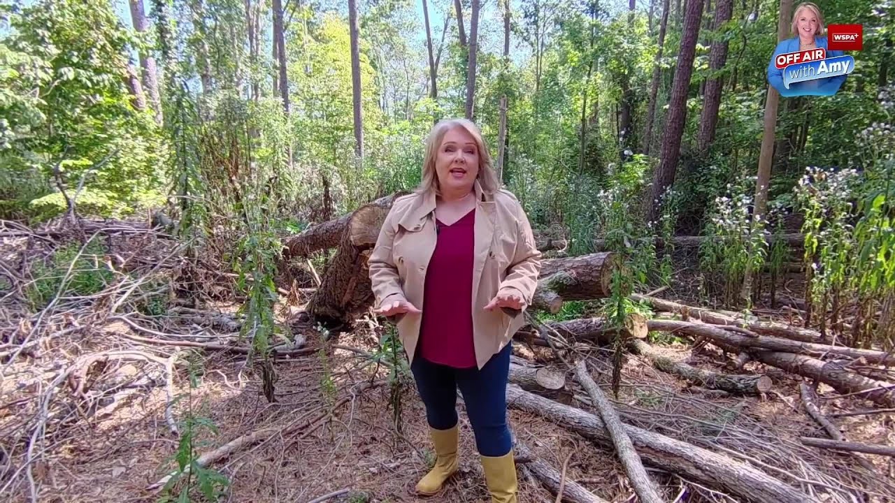 Off Air with Amy: Remembering Helene