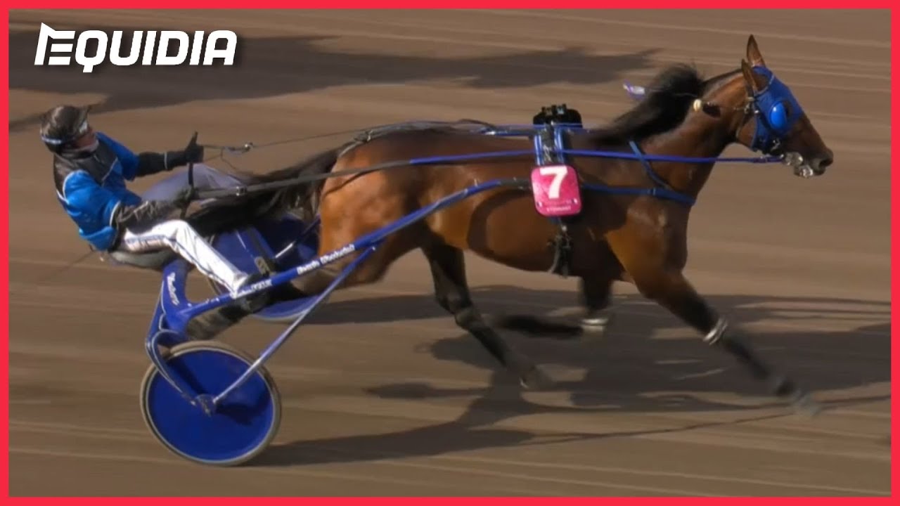ELITLOPPET 2022 FINALE | Le roi Étonnant, l'héritier de Timoko ! | Solvalla | Groupe 1
