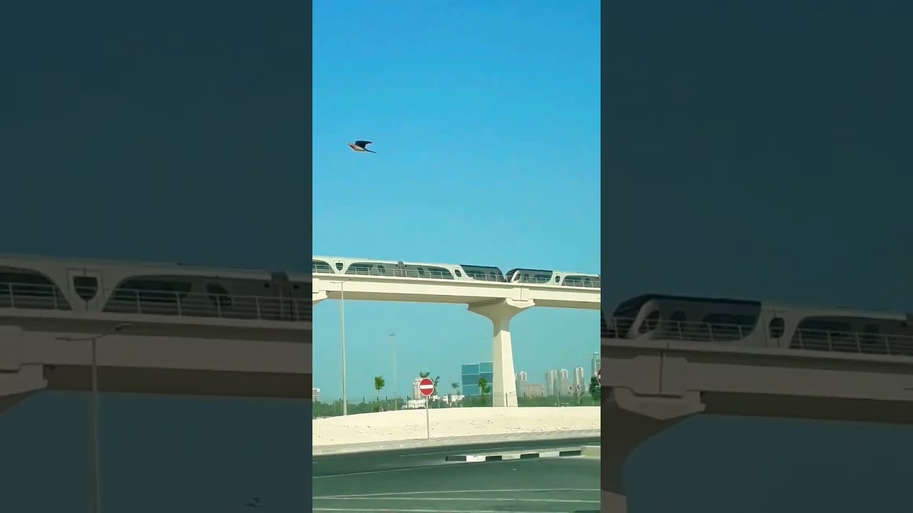 Qatar Metro Train Shhort Video 🚈 #syed_view #qatar #shorts #pamban