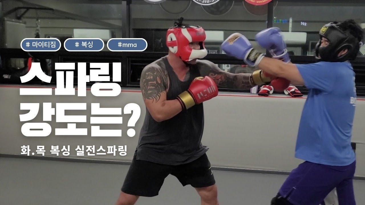 마이티짐 복싱 스파링 강도는?#복싱#MMA
