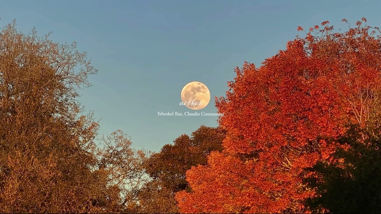 this playlist will find you in the right time (🍂 autumn version)