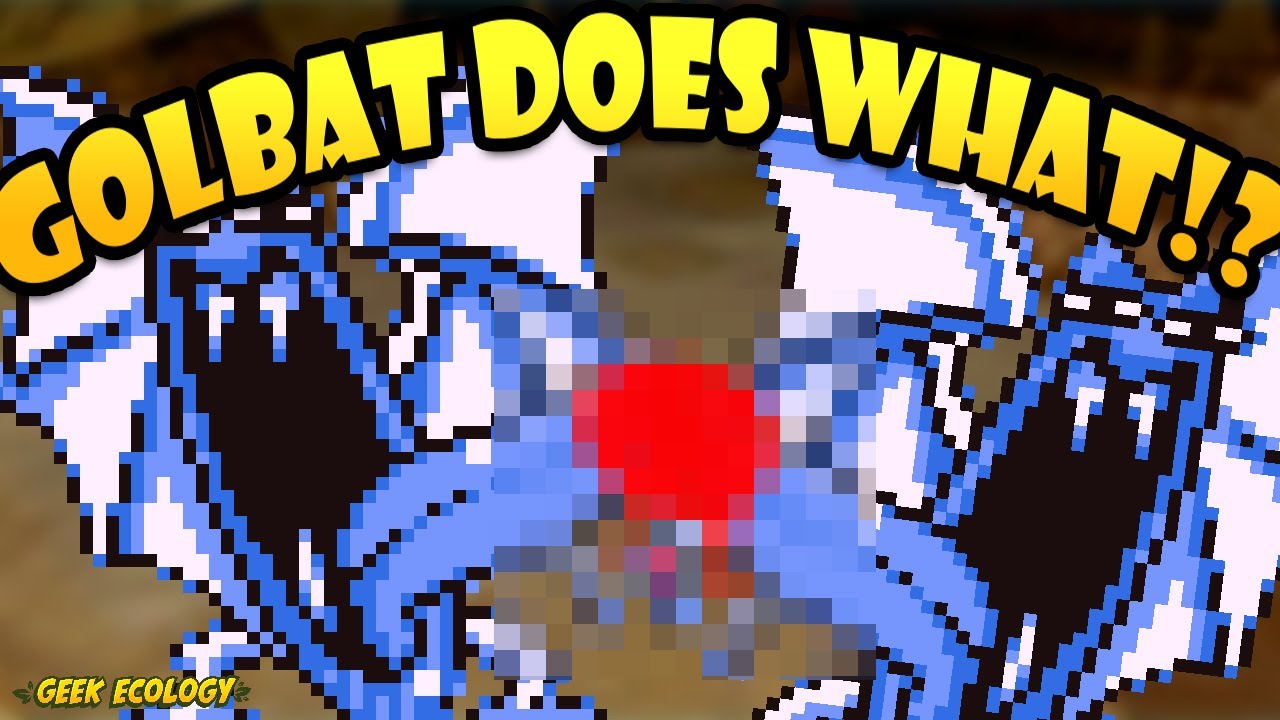 10 facts about bat Pok&eacute;mon 🦇 Pok&eacute;mon Biology