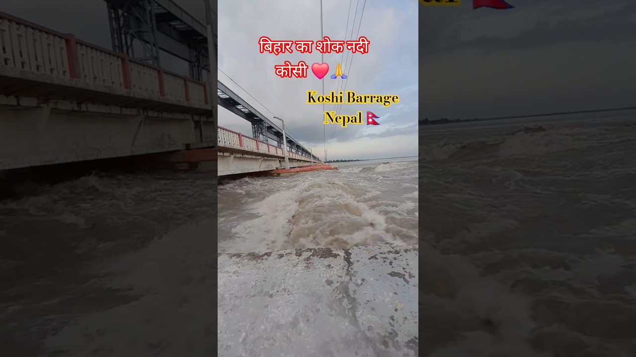 Sabse jada nuksan bihar ko jhelna padega ❤️ 🙏 #Koshibarrage #Koshiupdate #koshi #news