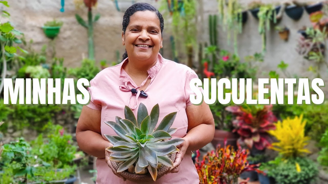 Minha coleção de suculentas: maneiras fáceis e simples de cultivá-las