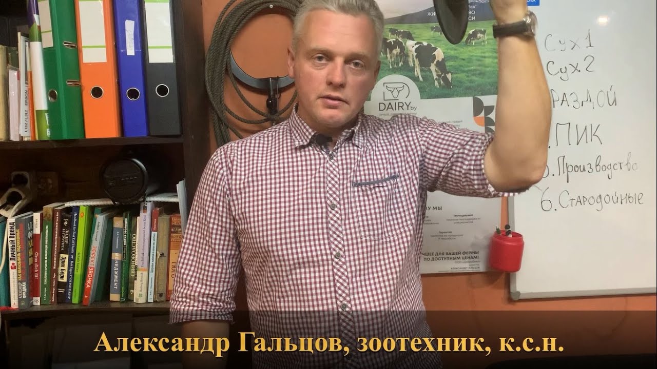 Кормление коров по фазам лактации. Обзор практика. Александр Гальцов