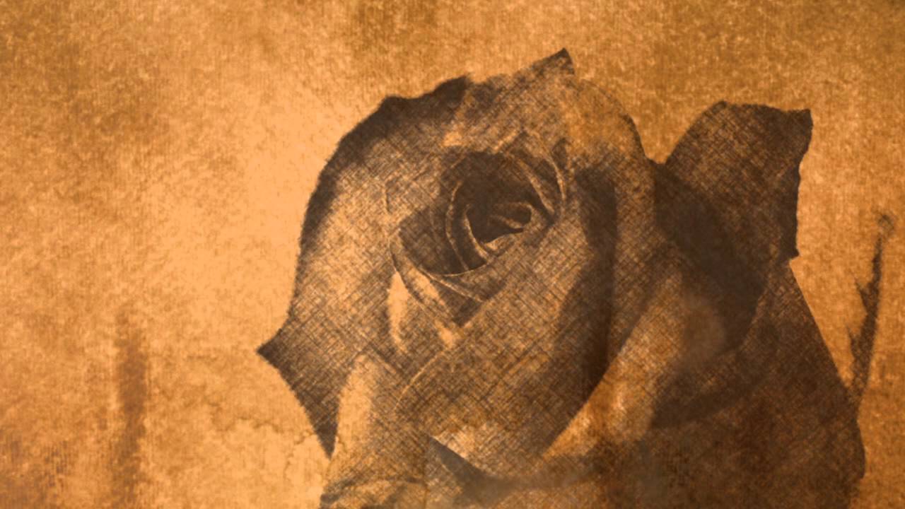 Liebe Mutter..( das wahre Lied für die Mama )