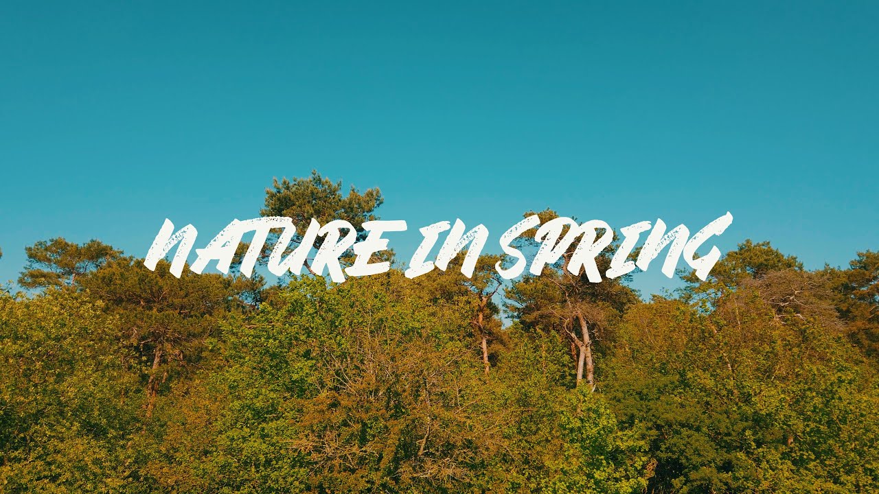 Nature in Spring by NTG Drone Media | Nature Documentary