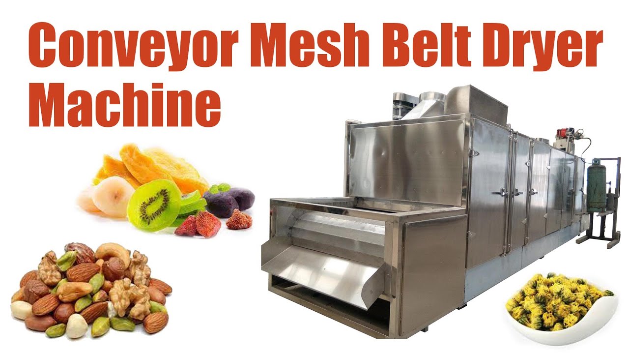 Conveyor mesh belt dryer machine | Continuous Mesh belt dryer |drying machine | dehydrator