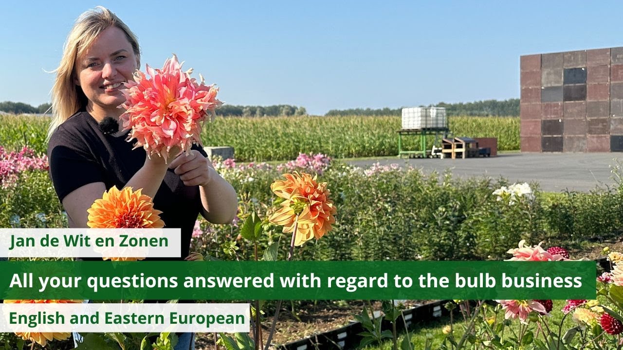 All your questions answered with regard to the bulb business