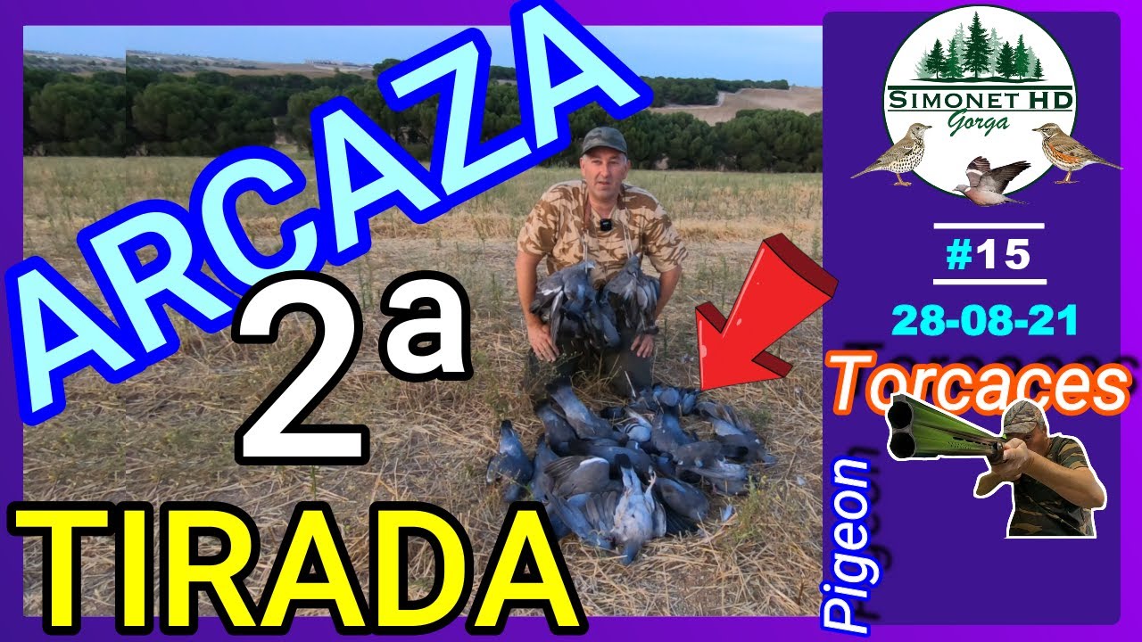 🟪 Tirada 𝐌𝐞𝐝𝐢𝐚 𝐕𝐞𝐝𝐚 en 𝐌𝐚𝐝𝐫𝐢𝐝 🎥 𝐏𝐀𝐋𝐎𝐌𝐀𝐒 𝐓𝐎𝐑𝐂𝐀𝐂𝐄𝐒 al paso con ARCAZA✔️