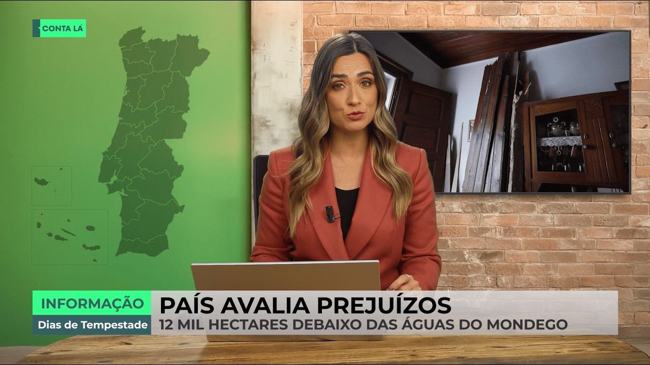 Nem todas as empresas vão conseguir reerguer-se depois da passagem das tempestades