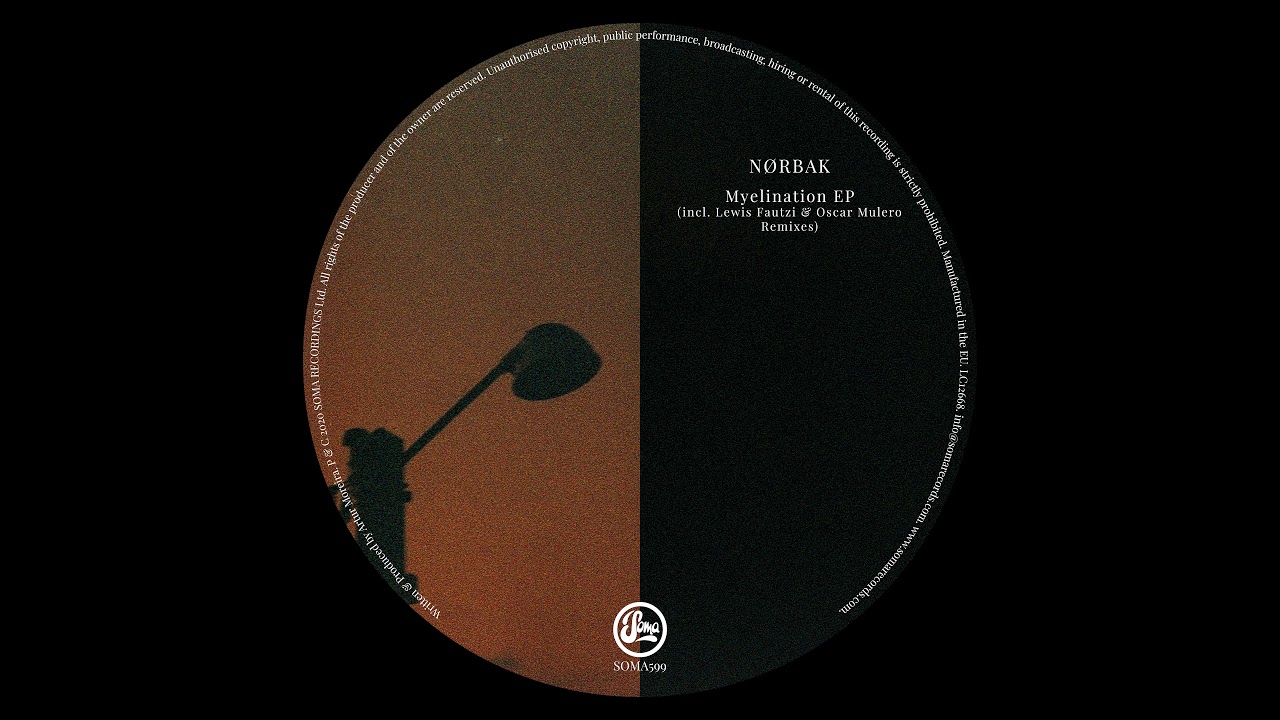Nørbak - Myelination [SOMA599]
