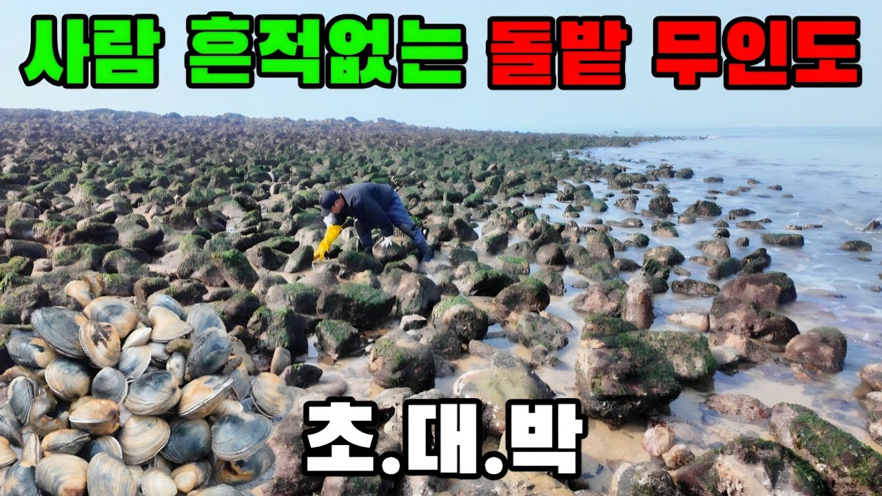 온통 돌뿐인 무인도에 자세히 보니 숨겨진 최고급 술안주 가득!