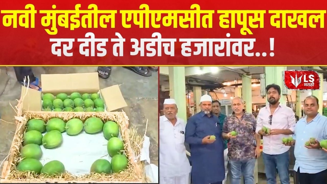 Navi Mumbai | नवी मुंबईतील एपीएमसीत हापूस येण्यास सुरूवात | Hapus Mango