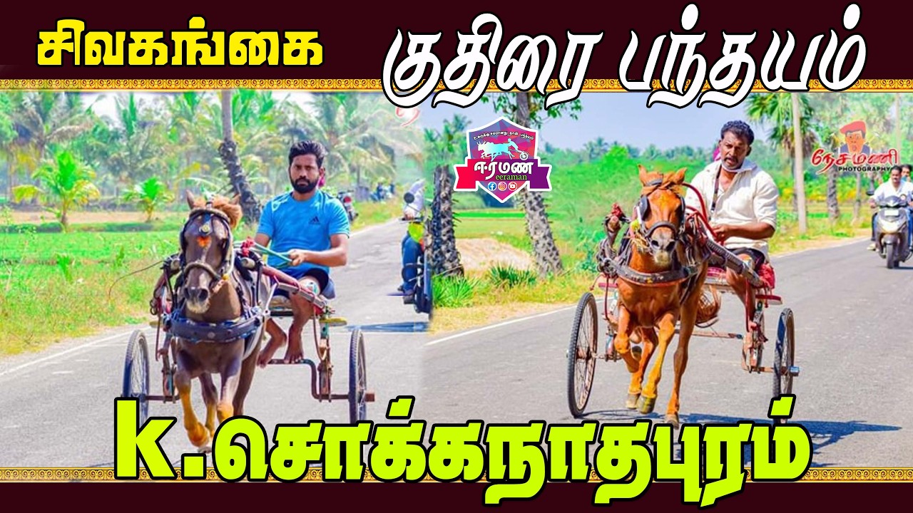 1802குதிரை பந்தயம் | k.சொக்கநாதபுரம் | சிவகங்கை மாவட்டம் |