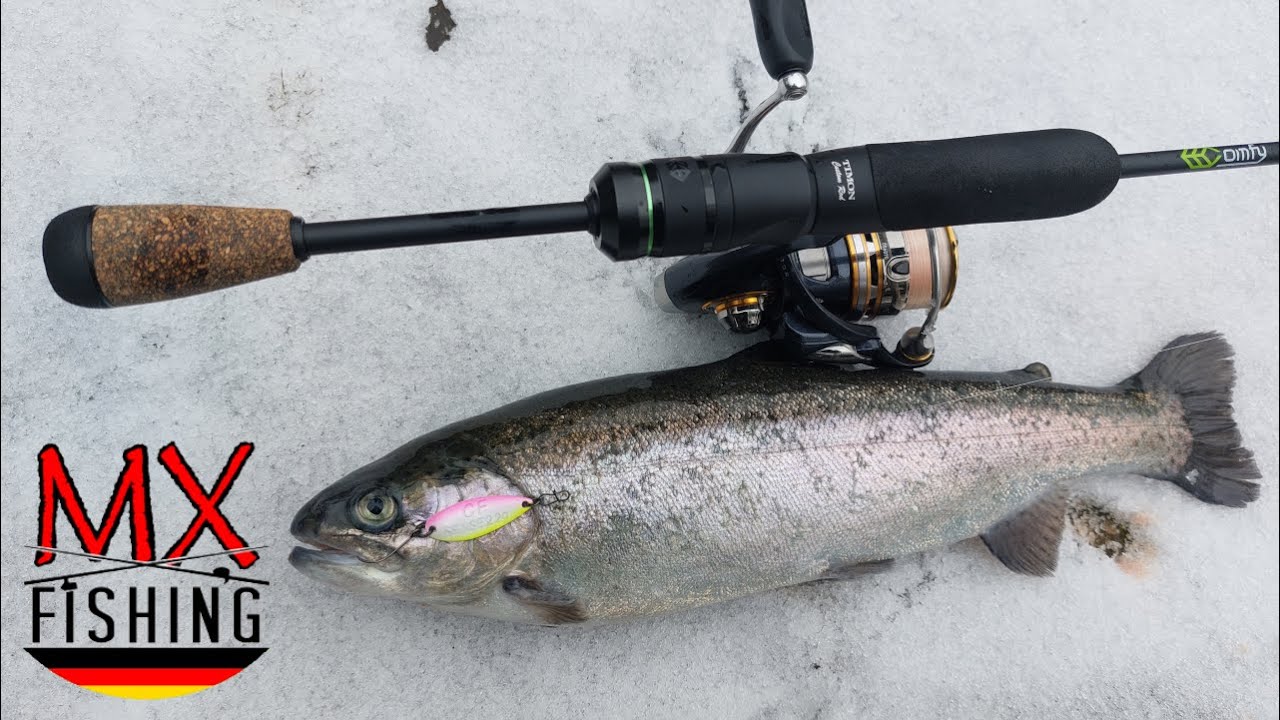 Forellen im Winter/ Extreme Bedingungen/ Drop-Shot/ Forellen fischen mit Kunstködern/ Trout Area