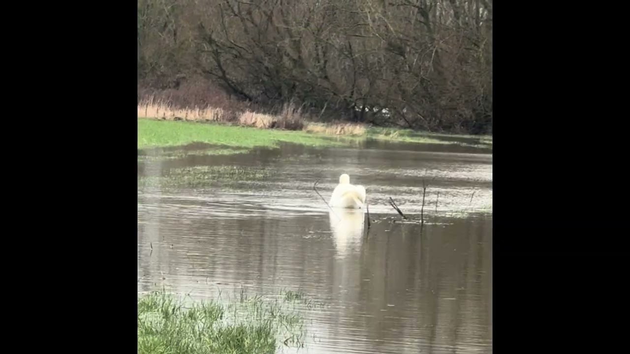 Trent has burst its banks. Fishing wasn’t so good no barbel to show but you can’t beat flood water