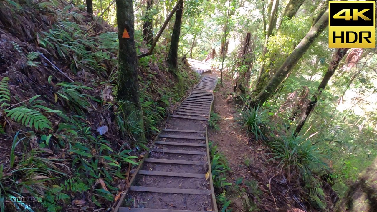 【4K HDR】Hiking In Hunua  Falls Trails Auckland New Zealand!