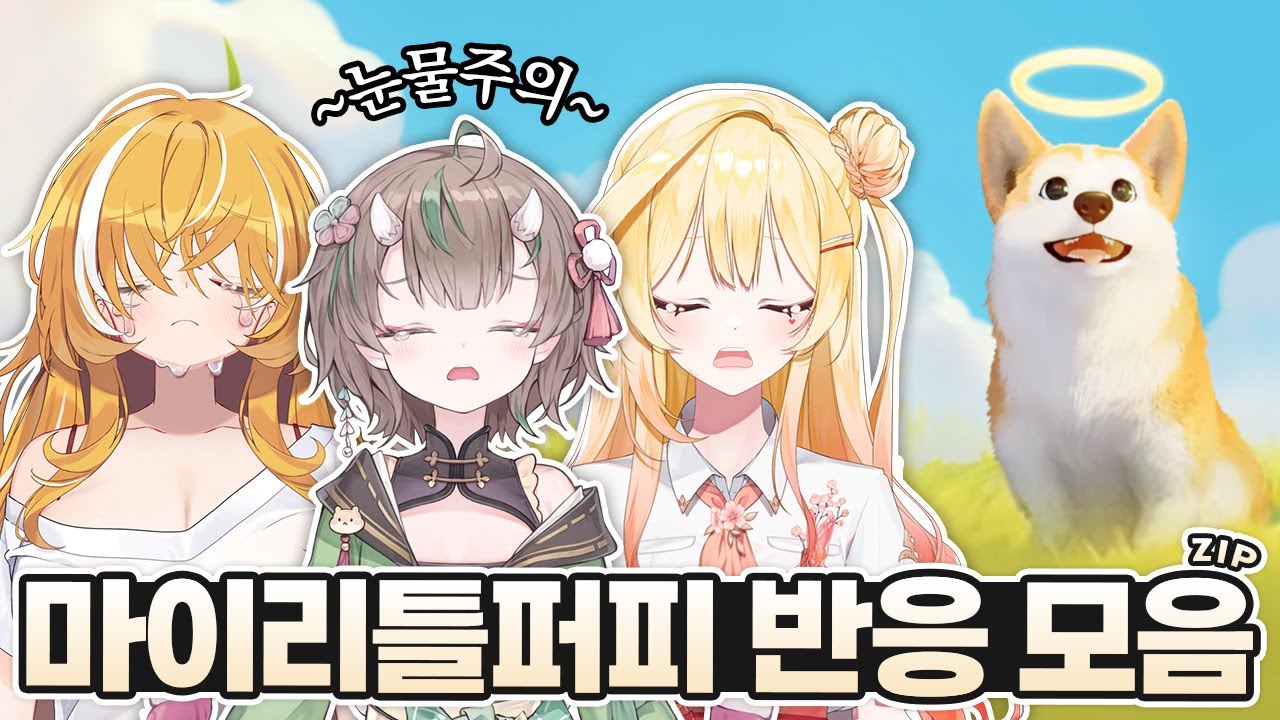 1분 만에 울게 되는 영상 【마이리틀퍼피 반응 모음】