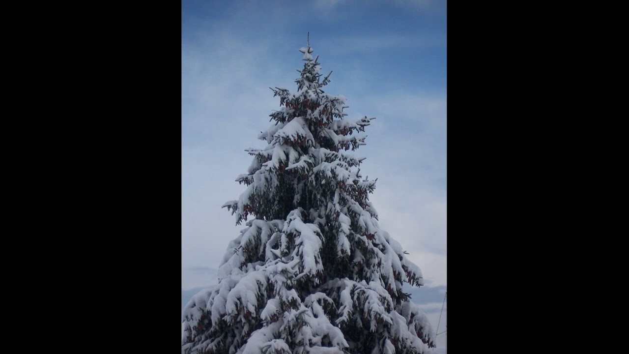 Frost‑Bright Morning