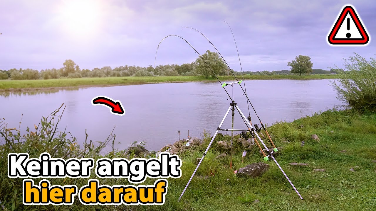 Was lebt in der st&auml;rksten Fluss-Str&ouml;mung? (Unber&uuml;hrte Fische bei&szlig;en im Sekundentakt)