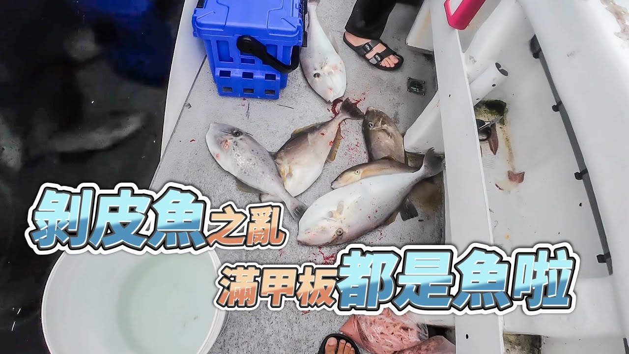 【台客去船釣】四年一次潮境公園盛況剝皮魚之亂！正餌正吃組掉的比釣起來的多！feat.星鋒6號娛樂海釣船
