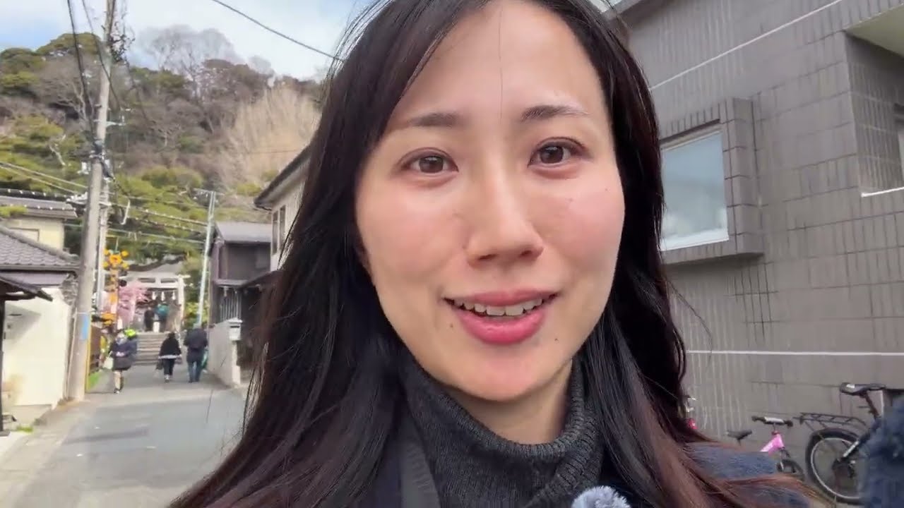 IRL🌸let’s find cherry blossom in Kamakura