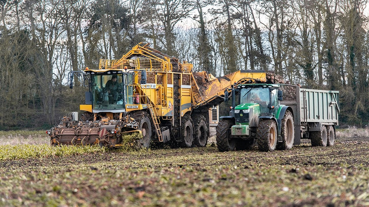 JB Farming | Finally harvesting the sugarbeet!