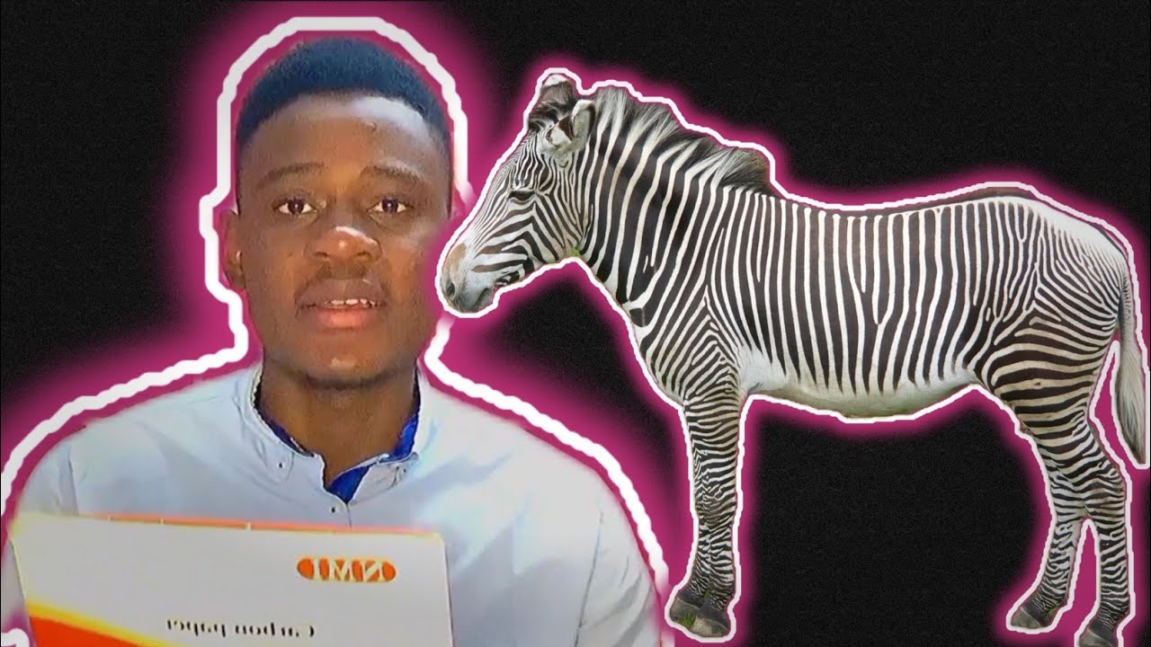 Trouve le nom de l'animal là et gagne 25K💸🤔