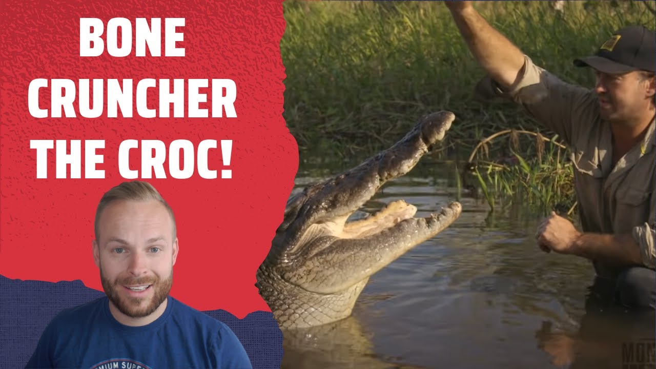 Rob Reacts to... Matt SWIMS with a WILD CROCODILE! - 'Bone Cruncher'