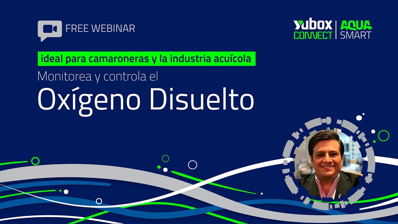 ¿Por qué el Oxígeno Disuelto es vital para el camarón y los peces?